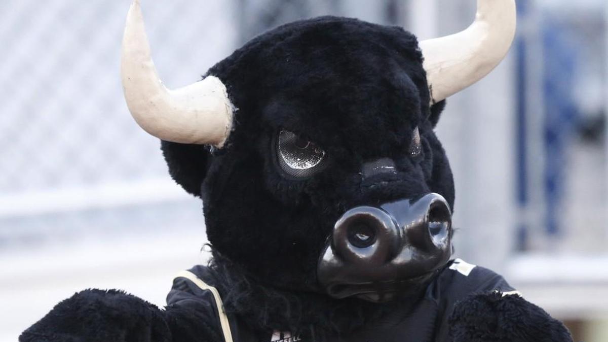 Maize South Maverick mascot looks on to a game on Oct 16, 2015).