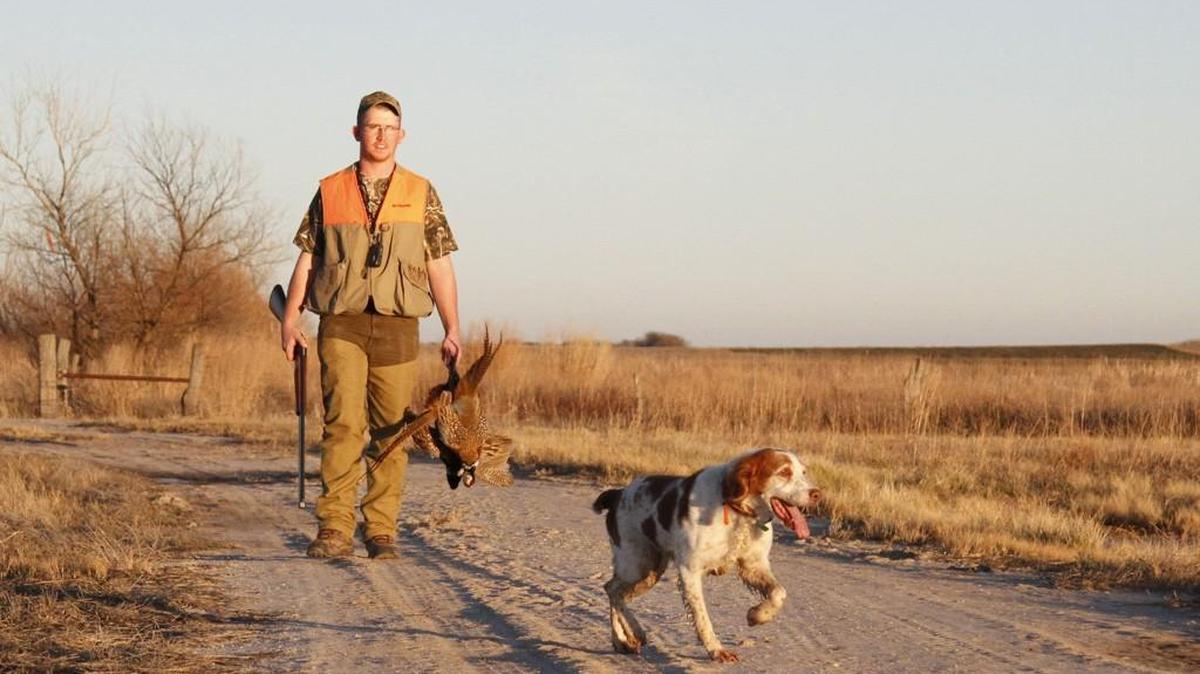 Hunters need to be aware of possible threats to the health of their dogs when afield for pheasant and quail, and how to save the dog if something like heat stress or stomach twist occurs.
