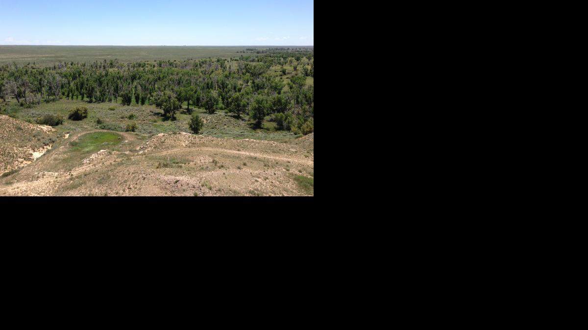 
Summer rains have wildlife habitat conditions better than they’ve looked in many years at the Cimarron National Grasslands.
