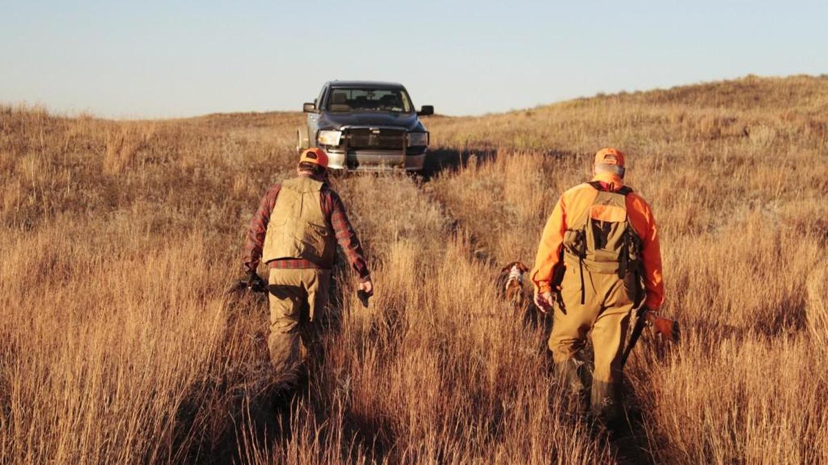Two hunters call it a day, and will soon be calling it a season. The hunting for pheasant and quail has been good.