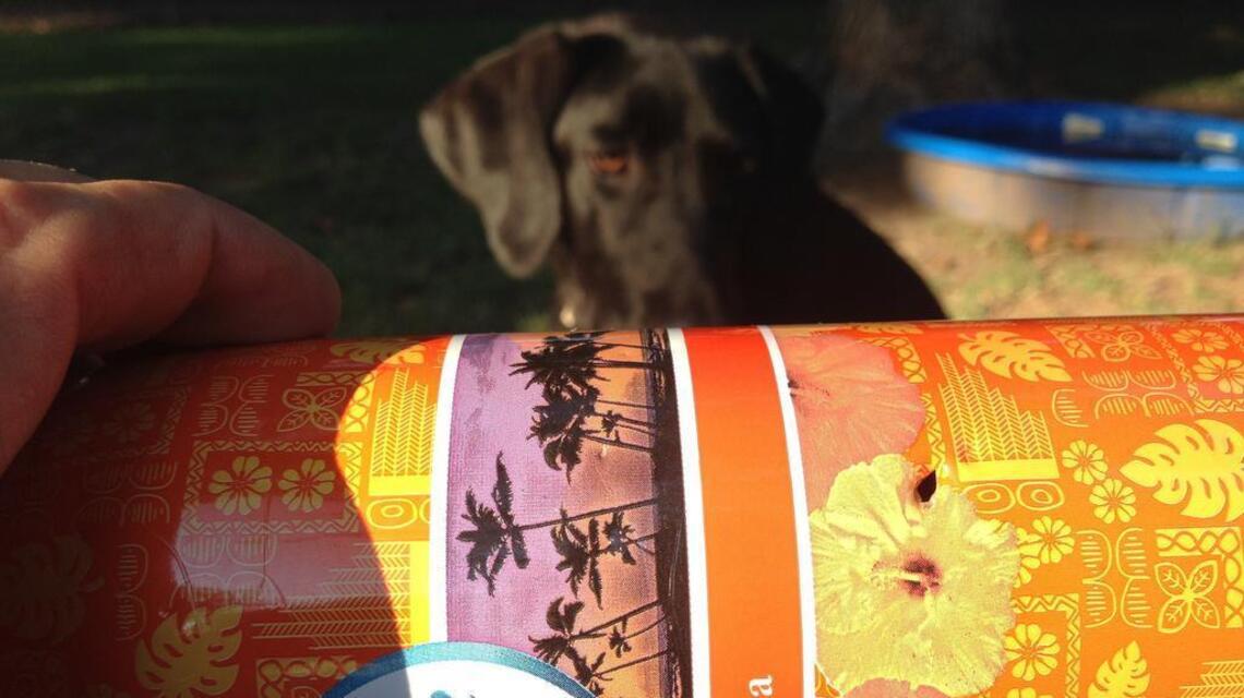 Opening a can of disaster