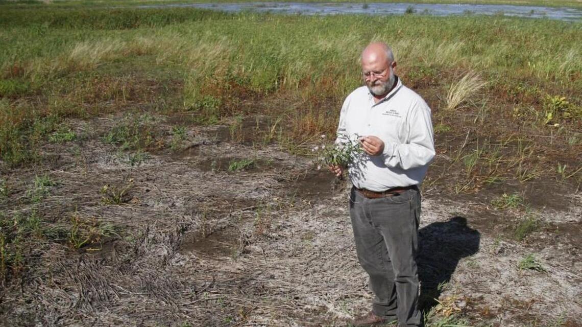 The withering wetlands