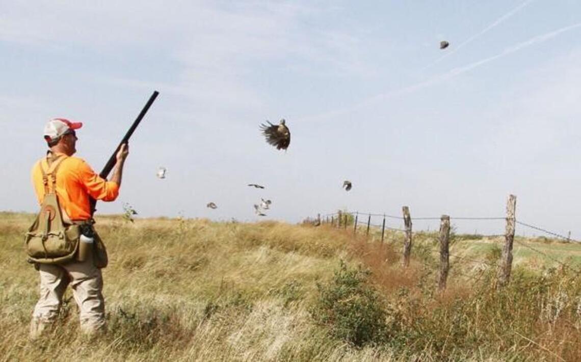 Plentiful pheasants, quotients of quail