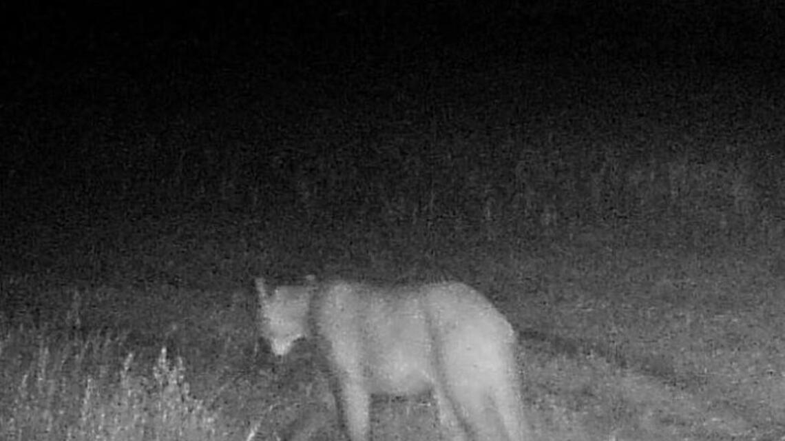 Kansas City sportsman appointed to wildlife commission