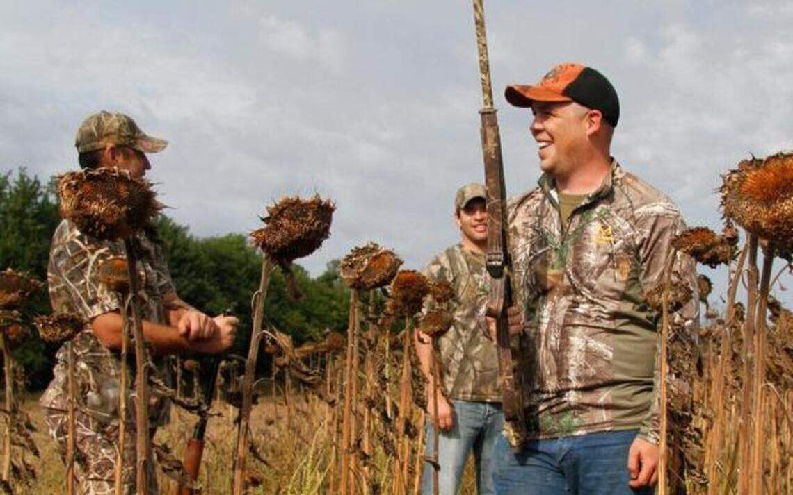 Elk City Wildlife Area's public area awash with doves on opening day