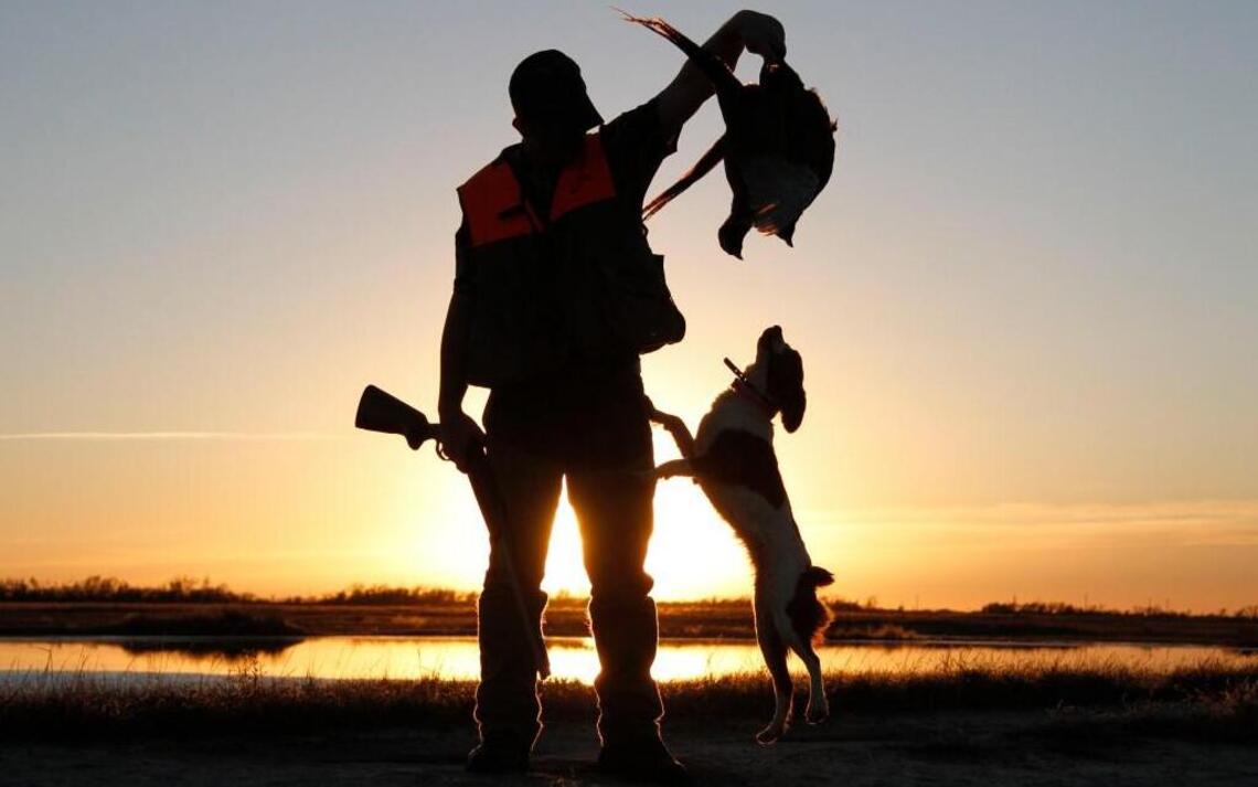 A one-man, and dog, show