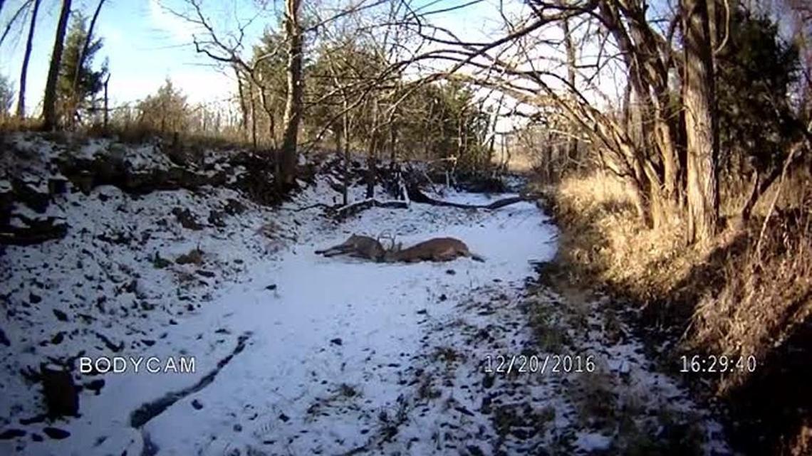 Screenshot from video