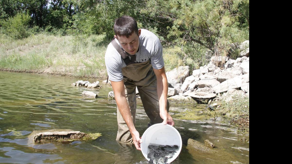 
Jay Hartley of Hartley Fish Farms has been putting in long hours stocking ponds and lakes that lost fish populations during the drought.

