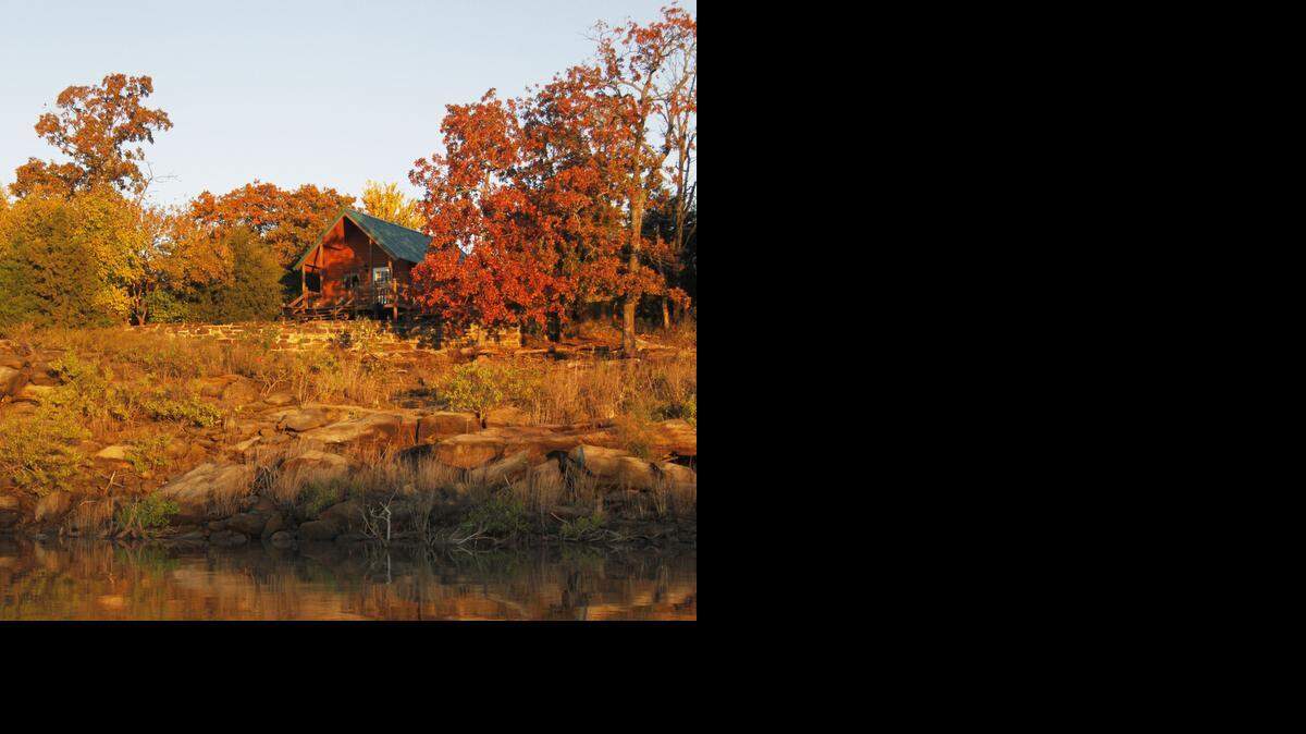 
Native trees in fall foliage last year at Cross Timbers State Park, at Toronto Reservoir.
