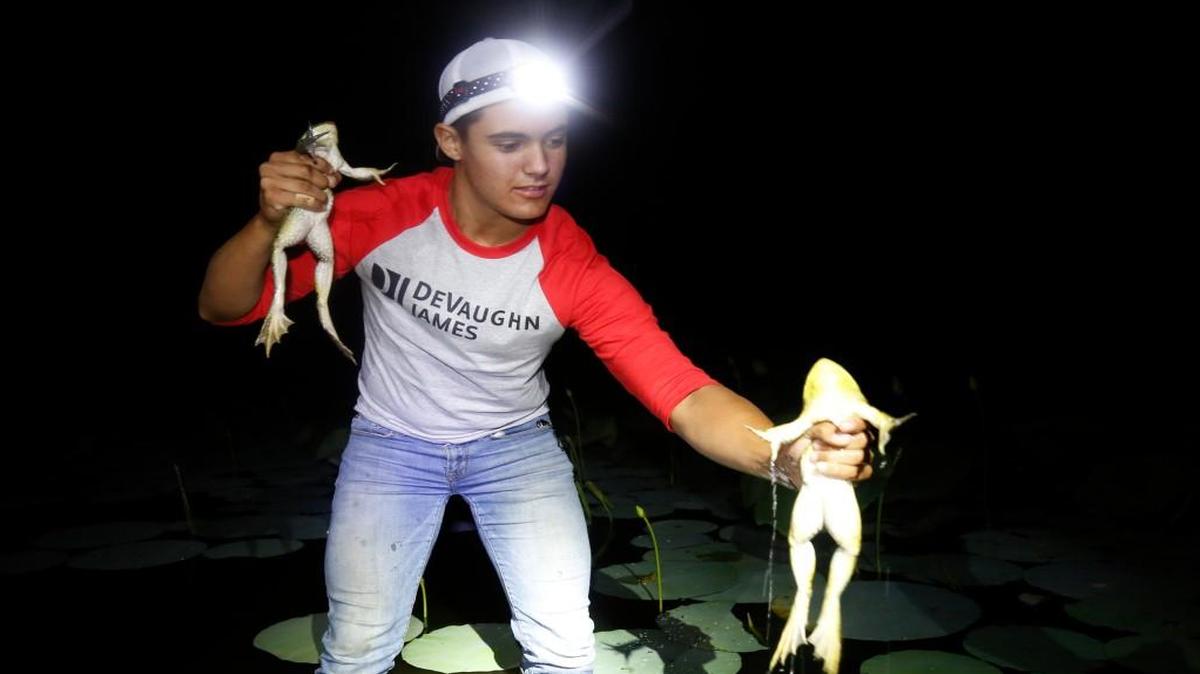 Henry Claassen, 15, grabs frogs Friday night at “the frog pond.” He grabbed his limit of eight before midnight, and then again after midnight, each time in a few minutes.