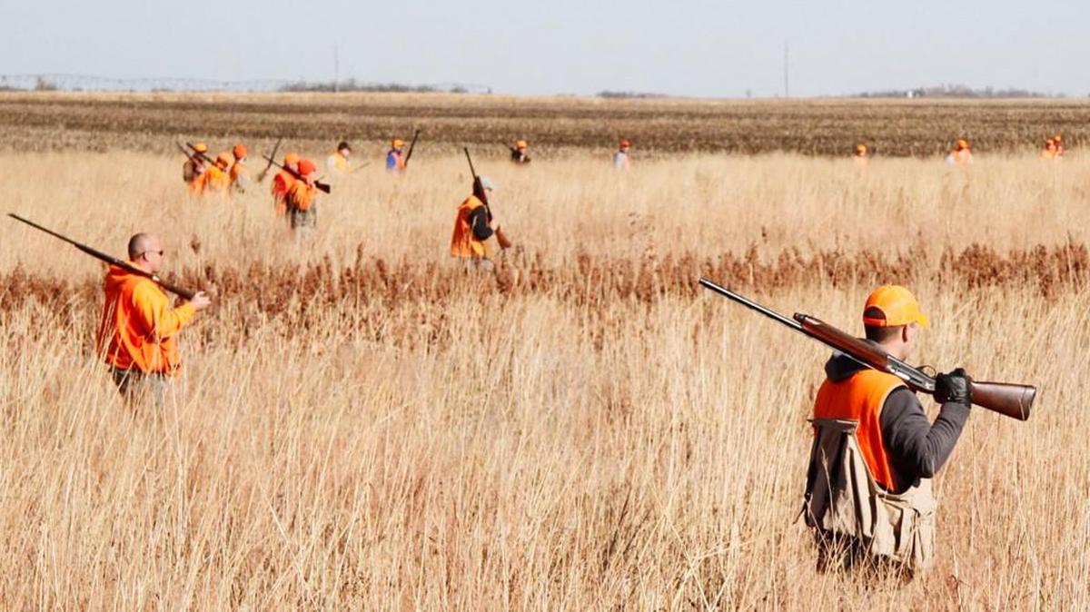 Hunters walk in a line across Edwards County grasslands with food plots on Saturday's opening day of pheasant season. Bird numbers appear to be improved over the past several seasons.