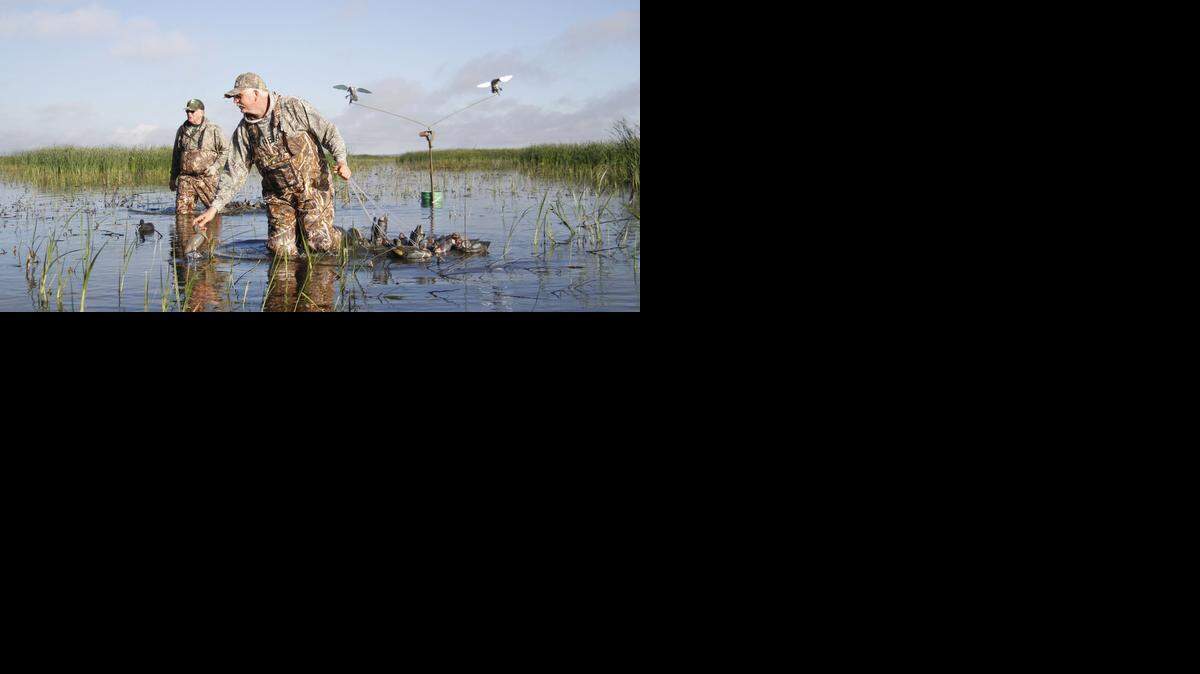 
Rick Tomlinson, right, picks up decoys with friend Mark Blackwell after shooting limits of teal on opening day at Cheyenne Bottoms. A close call with a heart problem last spring has Tomlinson appreciating hunting more than ever.

