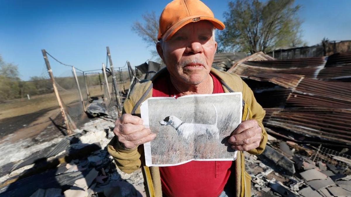 Don Gerstner, 87, holds a photo of his prize pointer Sam. Sam died in the same Barber County wildfire last week that destroyed Gerstner’s home and took almost all of his possessions. Gerstner survived with his wife, horse and two other dogs just ahead of the flames.