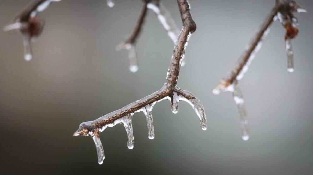 The National Weather Service in Wichita said there was more freezing rain than snow reported in Wichita Thursday morning.